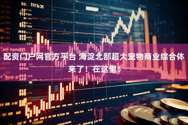 配资门户网官方平台 海淀北部超大宠物商业综合体来了！在这里！