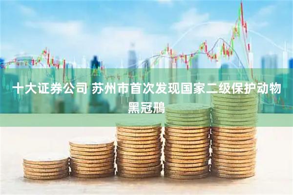 十大证券公司 苏州市首次发现国家二级保护动物黑冠鳽