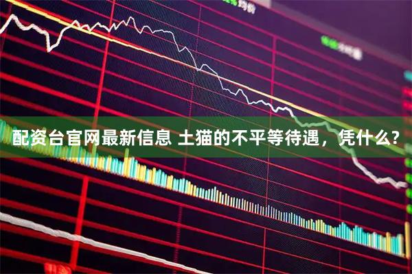 配资台官网最新信息 土猫的不平等待遇，凭什么?